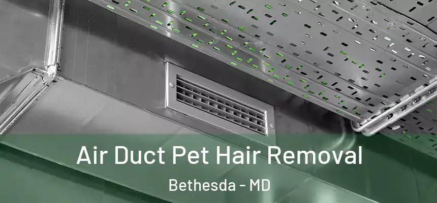  Air Duct Pet Hair Removal Bethesda - MD