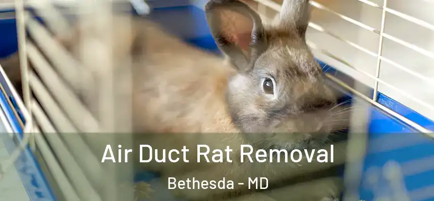  Air Duct Rat Removal Bethesda - MD