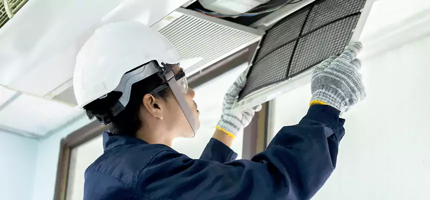 Our Mold & Mildew Removal from Air Ducts Services in Bethesda, MD