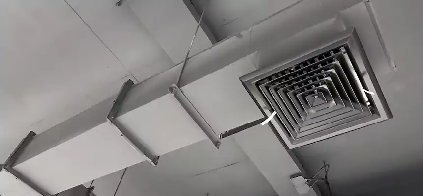 Our Rodent Droppings In Vents Services in Bethesda, MD