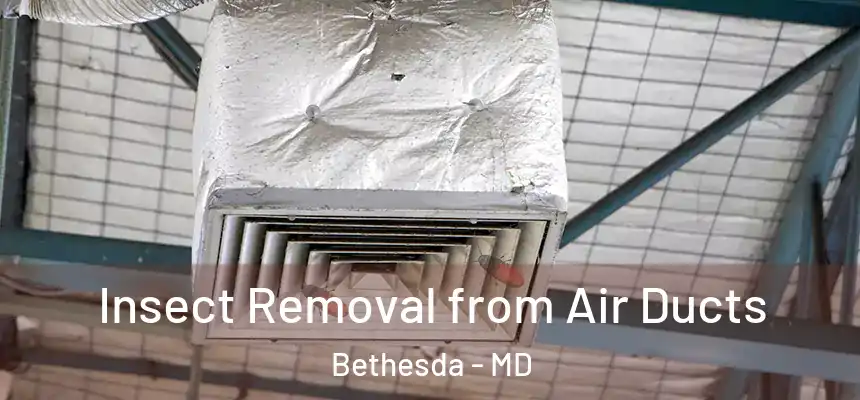  Insect Removal from Air Ducts Bethesda - MD