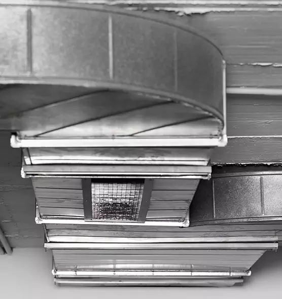 Professional Air Duct Pest Removal in Bethesda, MD