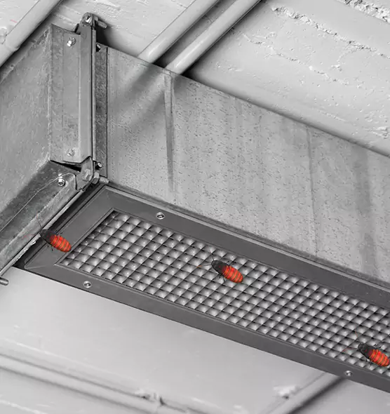 Affordable Insect Removal from Air Ducts in Bethesda, MD