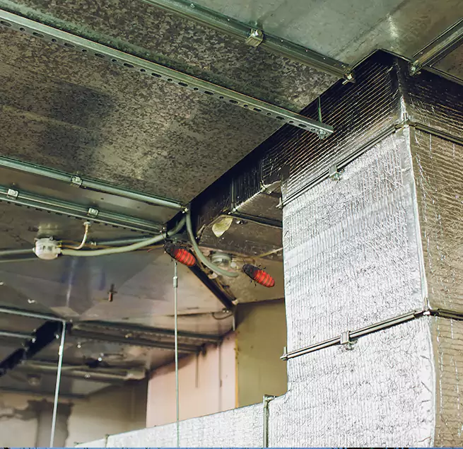 Why Homeowners & Businesses Trust Us in Bethesda, MD?