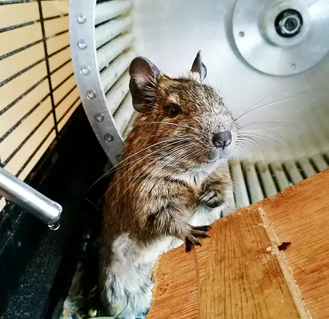 Why Homeowners & Businesses Trust Us Bethesda, MD